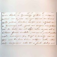 Op maandag 29 april van het jaar 1822 verkocht Paulus Willem Bosch van Drakestein een paar percelen in Tolsteeg, gelegen tussen de Koningsweg, Rijndijkje en het Houtensepad, eerder onderdeel uitmakende van het kappittel van St. Marie aan de Domeinen der Staat der Nederlanden voor ƒ. 9.450,- voor de aanleg van de 4 Lunetten op de Houtense Vlakte. Beschrijving van akte. Bron: HUA, 22 21 (7) 1820 dec. 18-1823 apr. 19 7.29 29-04-1822.